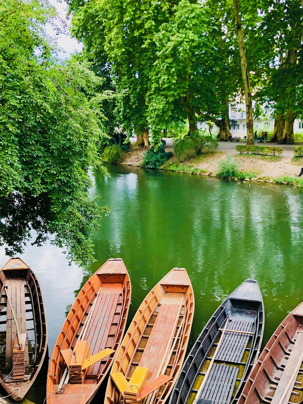 Tuebingen Kaehne – © clu / iStock.com
